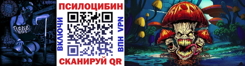Купить где  Цивильск  Галлюциногенные грибы мицелий 